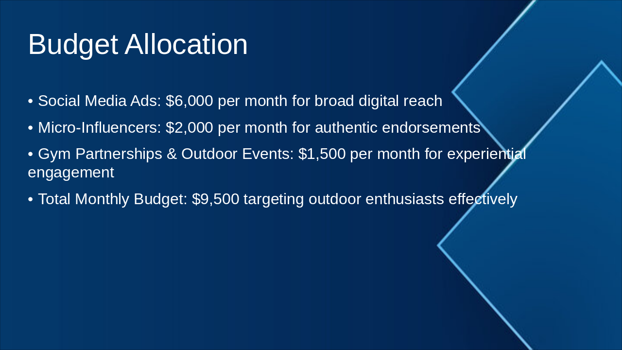Slide 13 - Budget Allocation