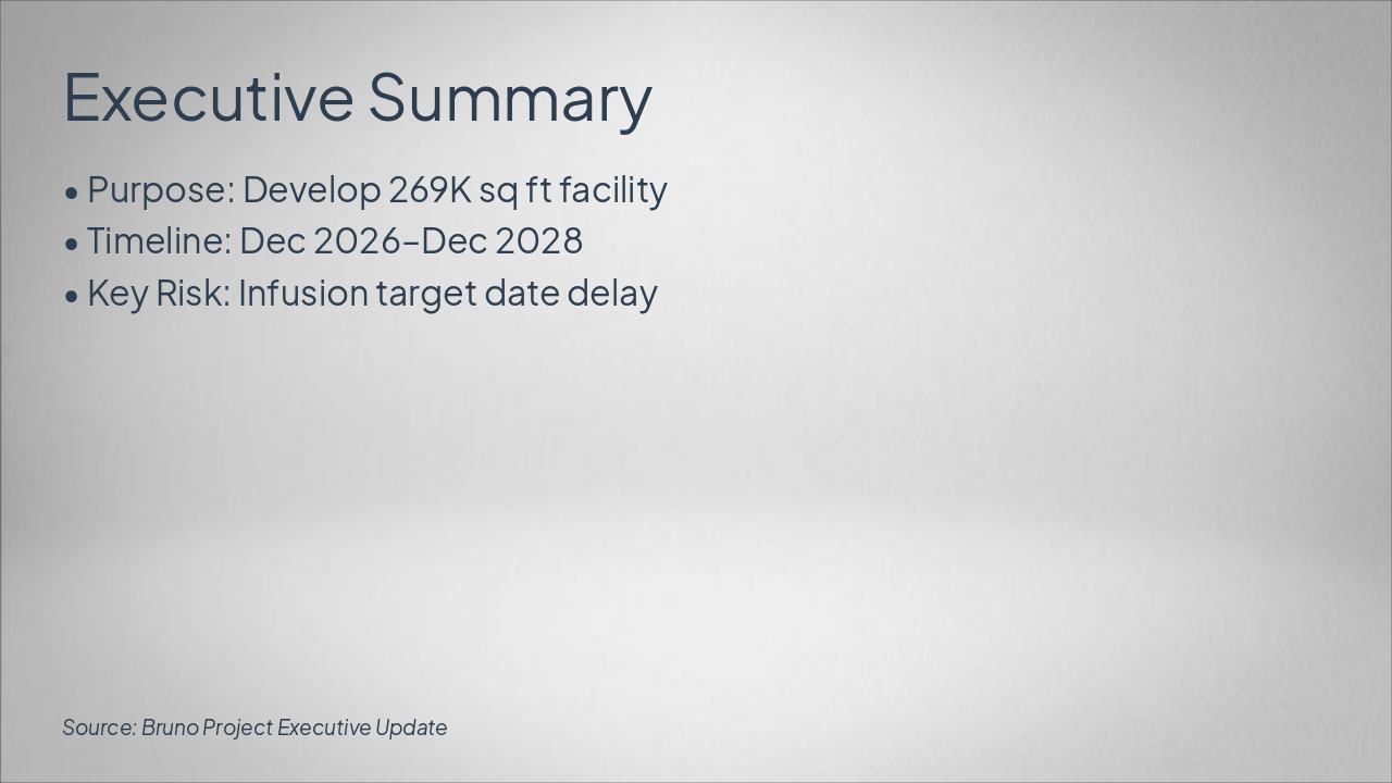 Bruno Project 5-Slide Exec Update