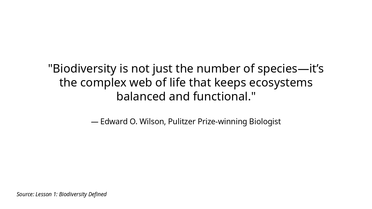 Slide 4 - Key Idea on Biodiversity