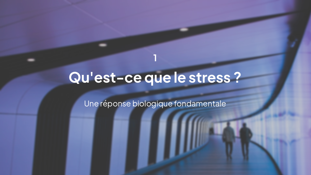 Slide 3 - Fondamentaux