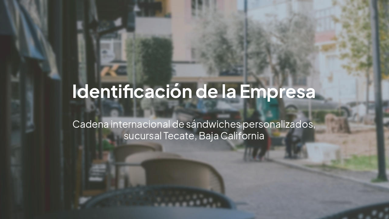 Slide 5 - Identificación de la Empresa