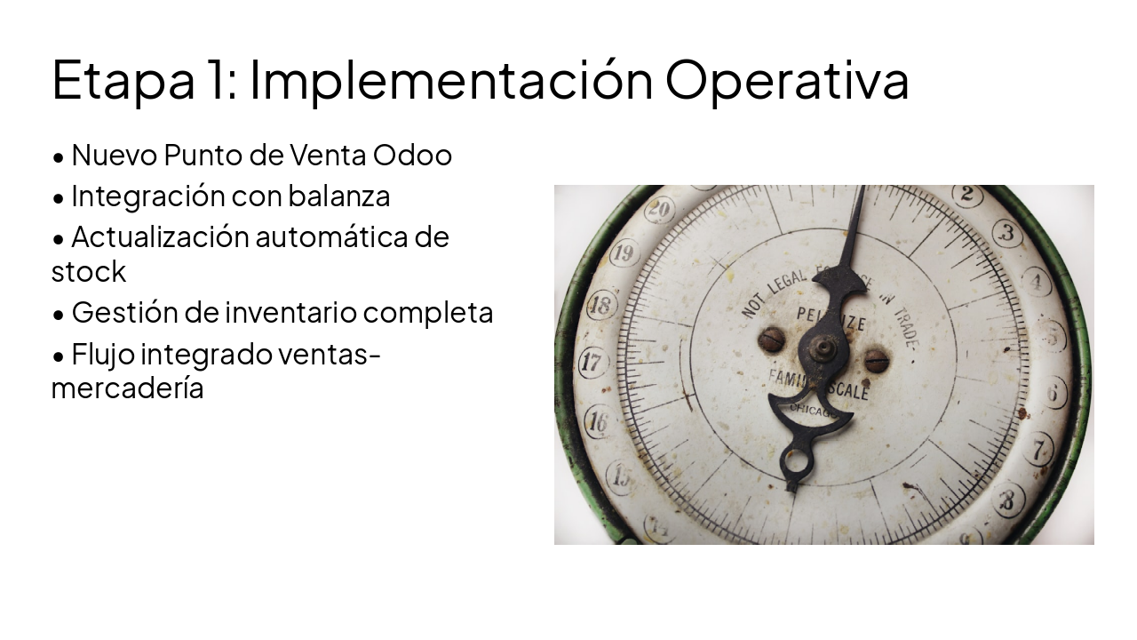 Slide 4 - Etapa 1: Implementación Operativa