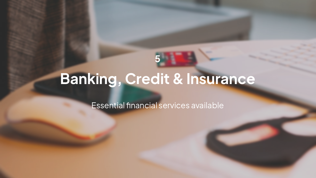 Slide 13 - 5. Banking, Credit & Insurance