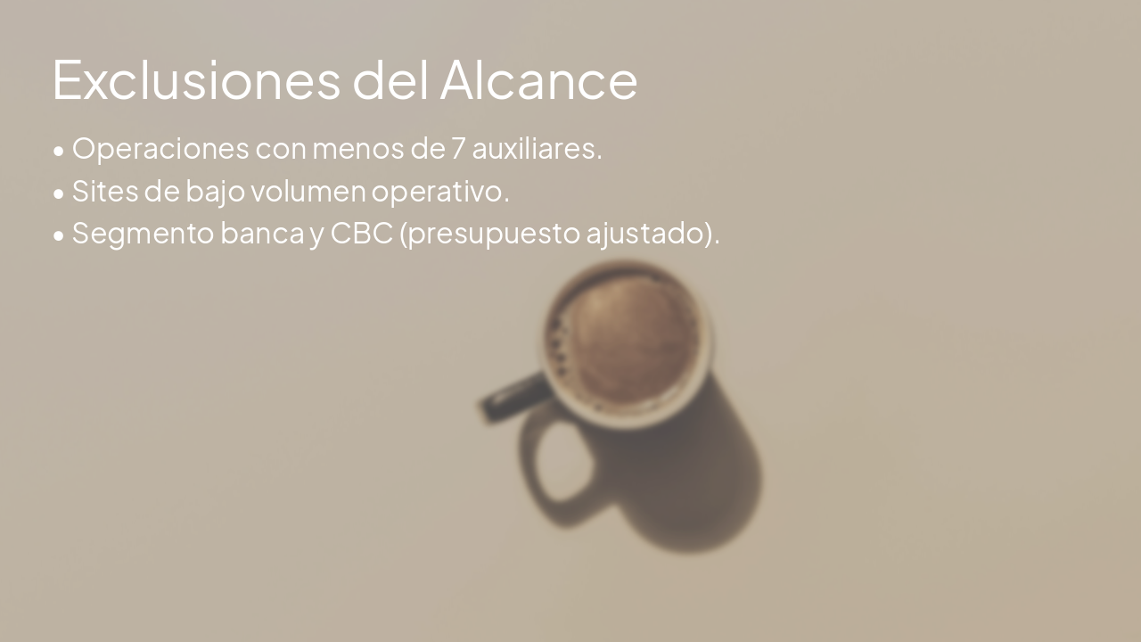 Slide 14 - Exclusiones del Alcance