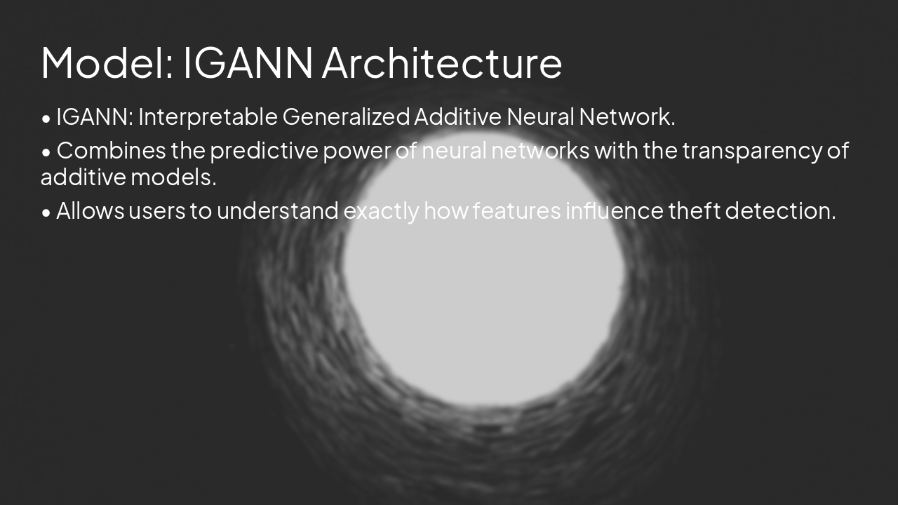 Slide 9 - Model: IGANN Architecture
