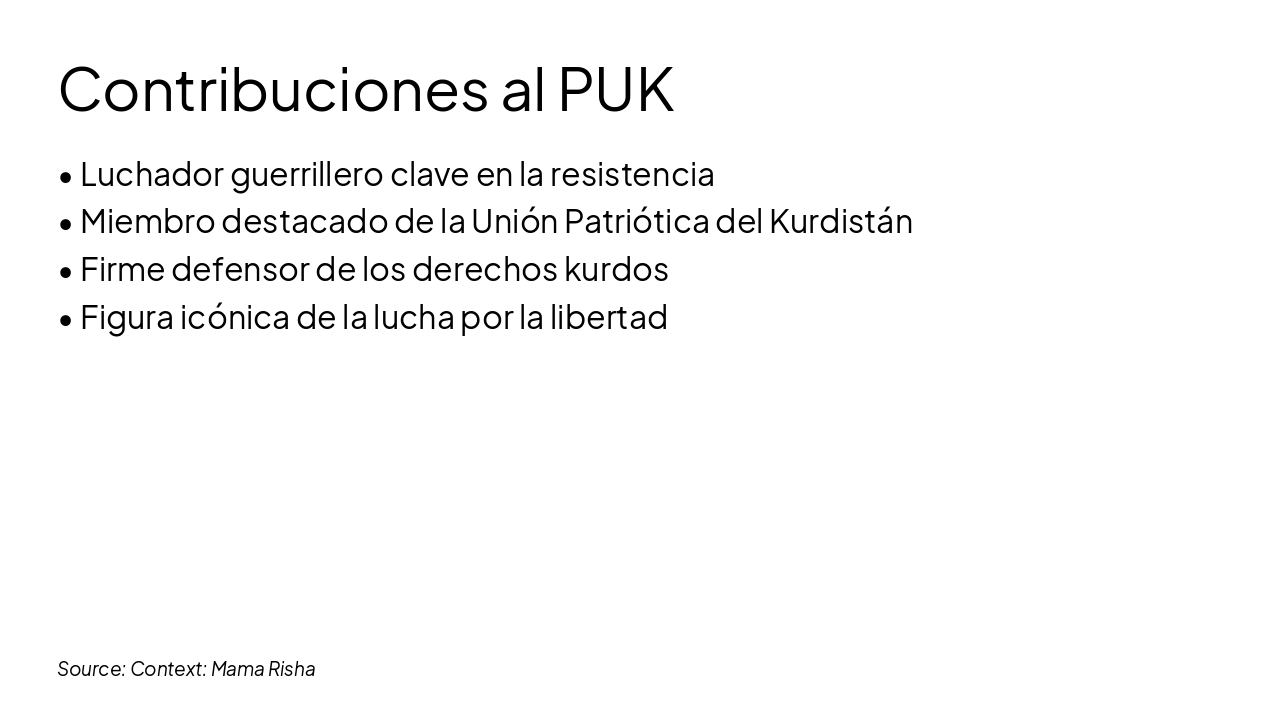 Slide 4 - Contribuciones al PUK