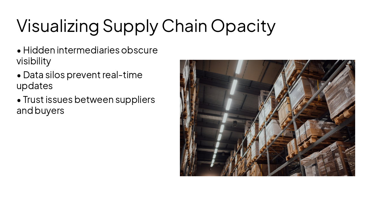 Slide 5 - Visualizing Supply Chain Opacity