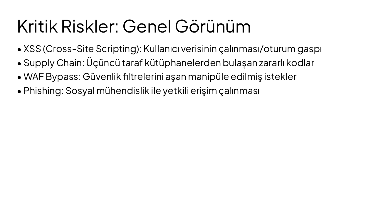 Slide 9 - Kritik Riskler: Genel Görünüm
