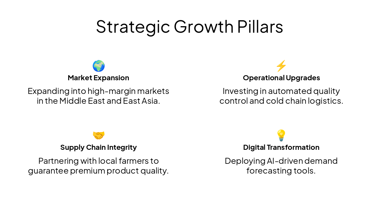 Slide 8 - Strategic Growth Pillars