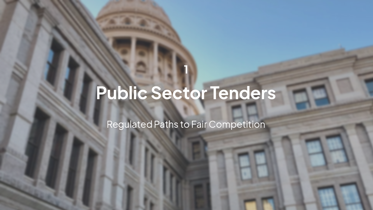 Slide 3 - Public Sector Focus