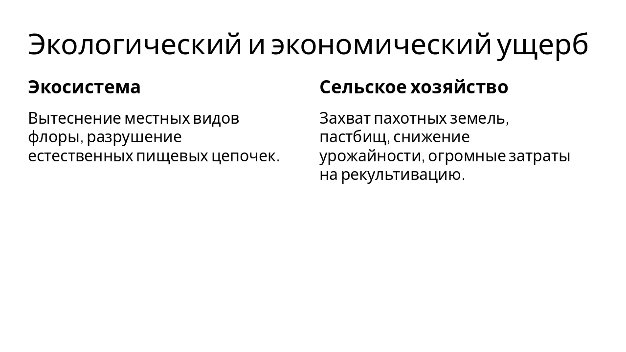 Slide 7 - Экологический и экономический ущерб