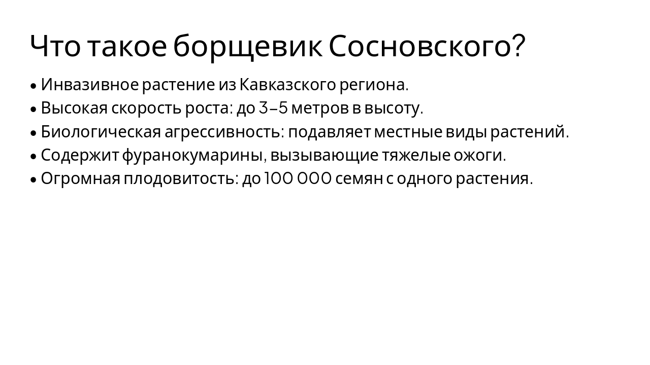 Slide 3 - Что такое борщевик Сосновского?