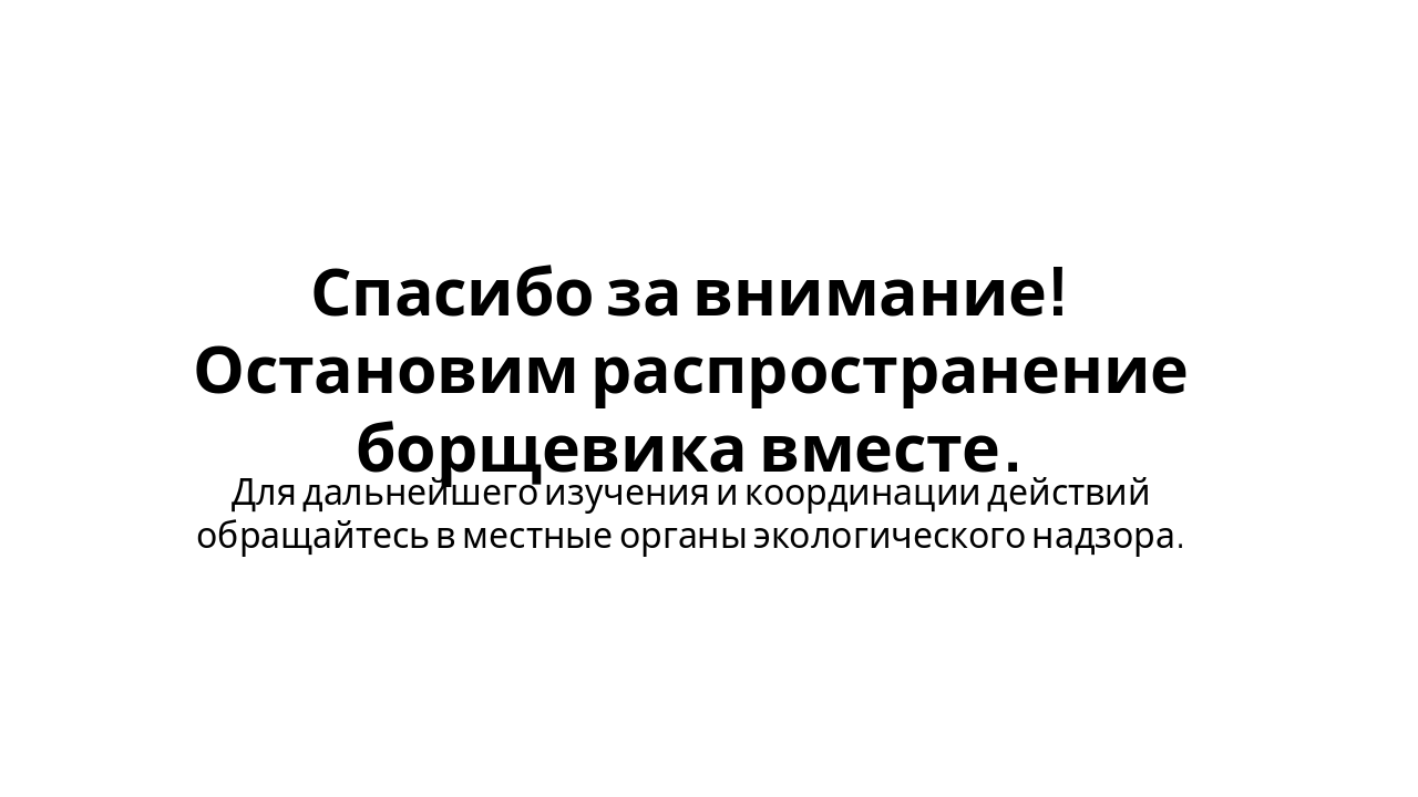 Slide 14 - Заключение