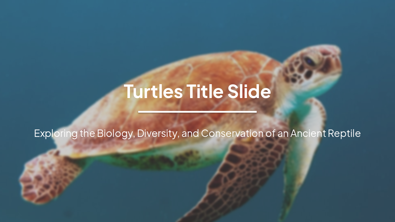 Slide 1 - Turtles Title Slide