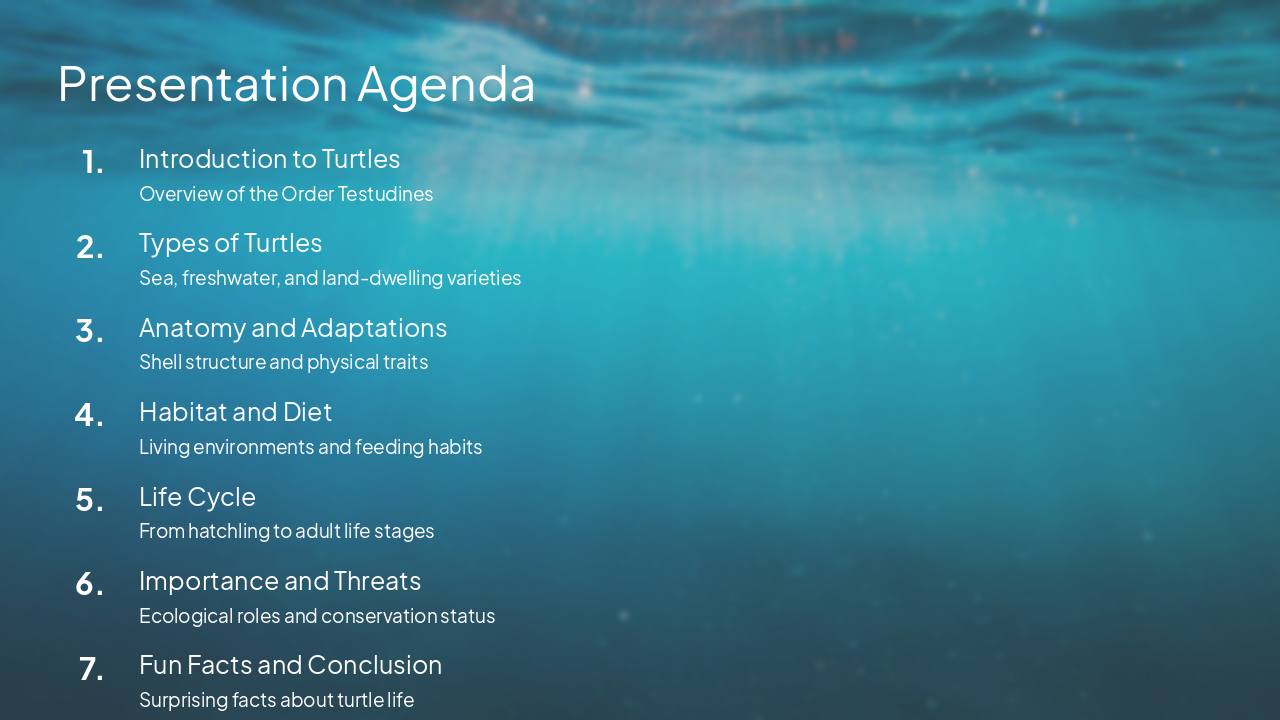 Slide 2 - Presentation Agenda