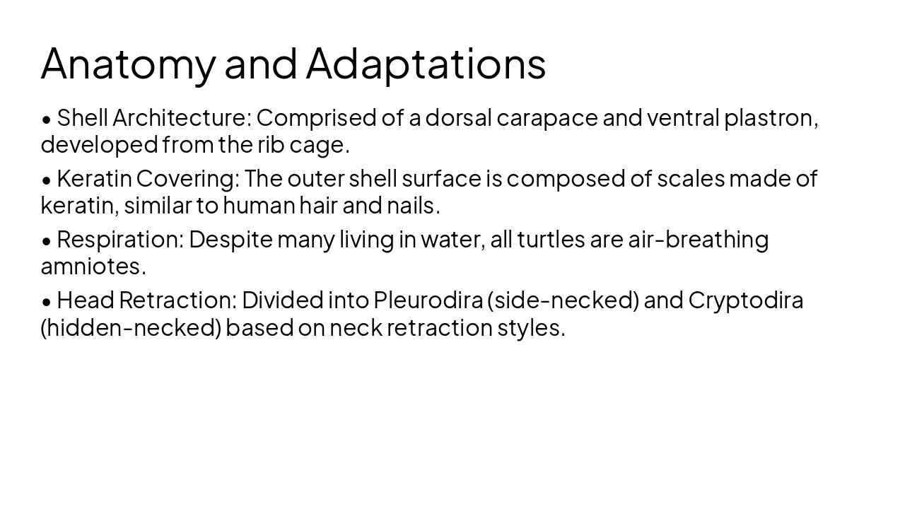 Slide 5 - Anatomy and Adaptations