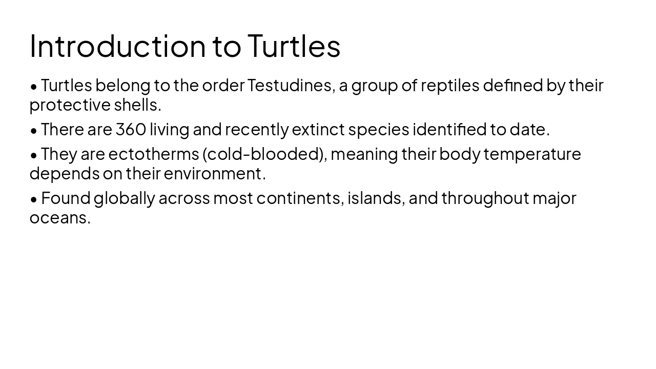 Slide 3 - Introduction to Turtles