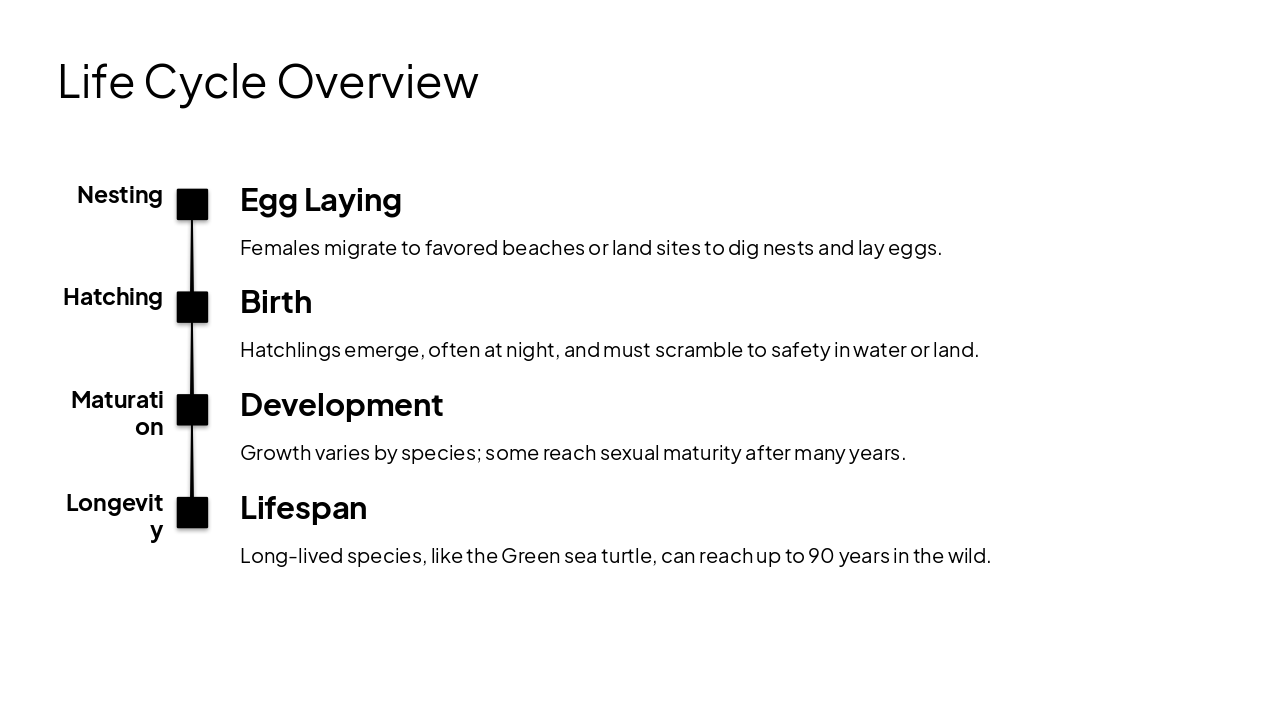 Slide 7 - Life Cycle Overview