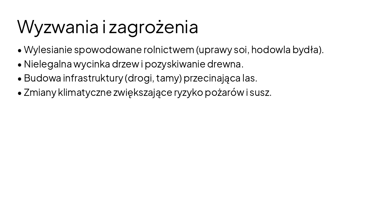 Slide 6 - Wyzwania i zagrożenia