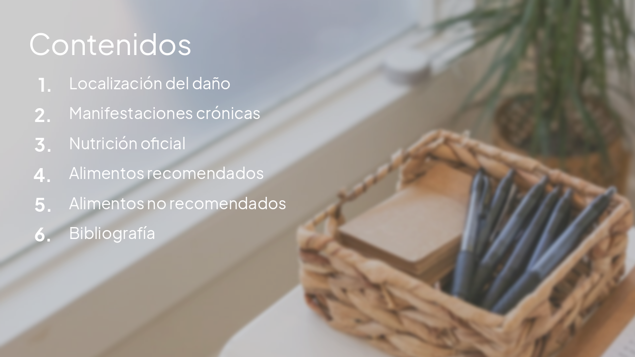 Slide 2 - Contenidos
