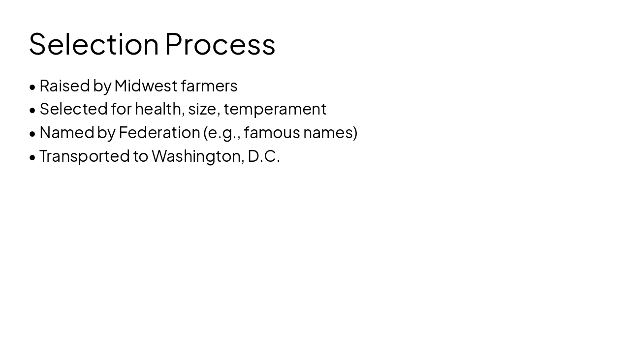 Slide 4 - Selection Process