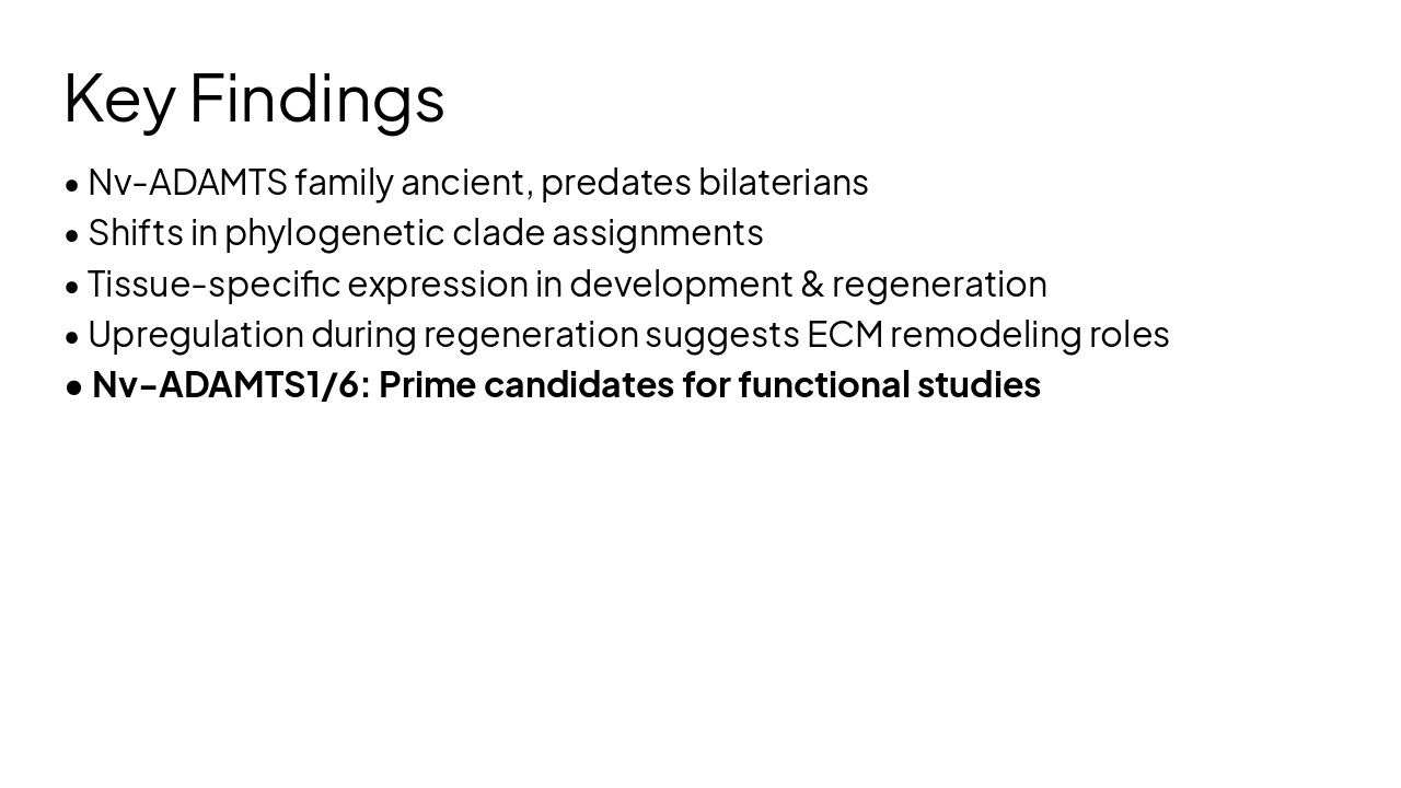 Slide 18 - Key Findings