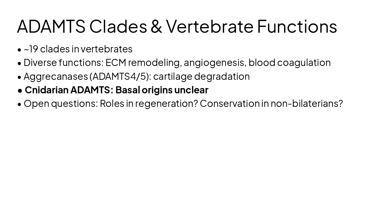 Slide 8 - ADAMTS Clades & Vertebrate Functions