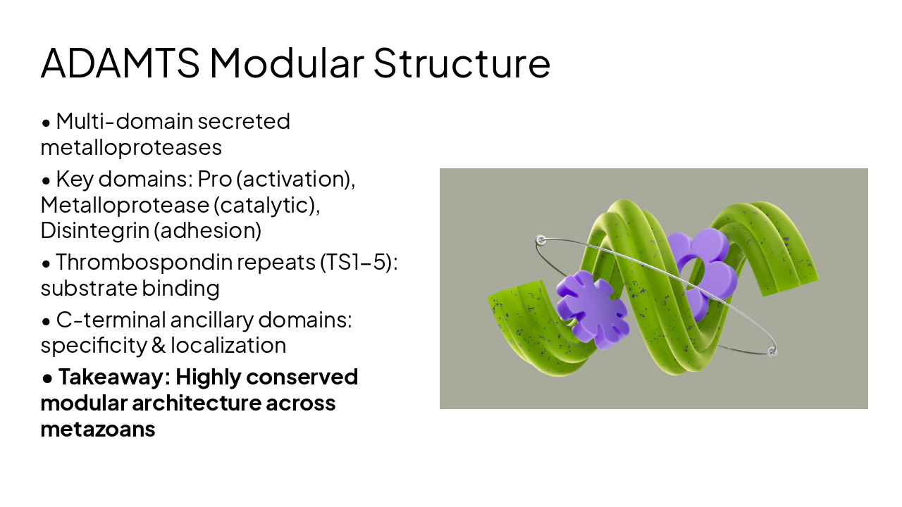 Slide 7 - ADAMTS Modular Structure