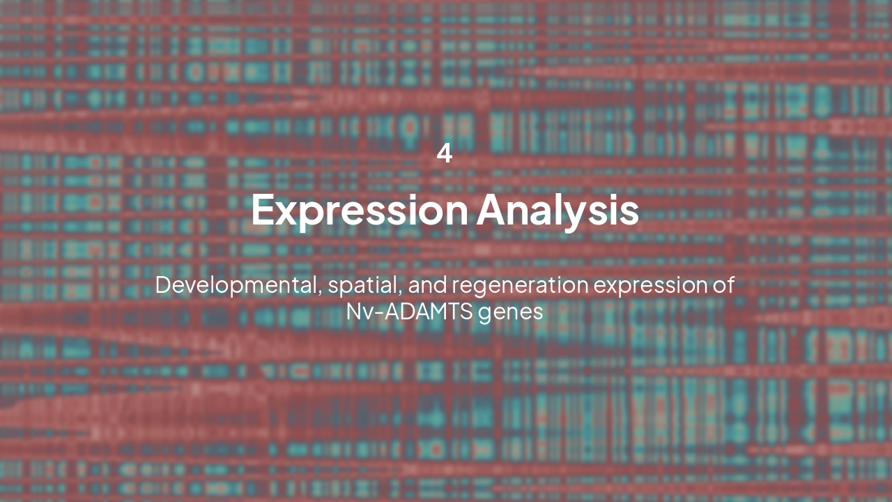 Slide 13 - Expression Analysis