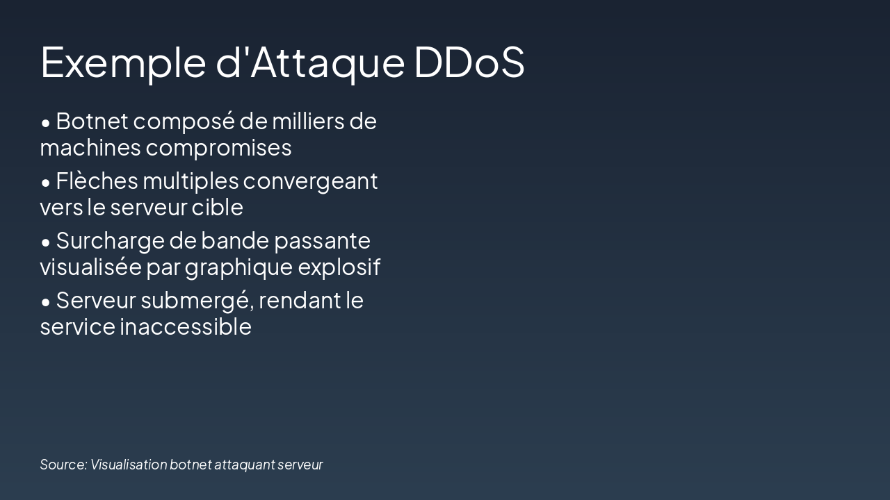Slide 7 - Exemple d'Attaque DDoS
