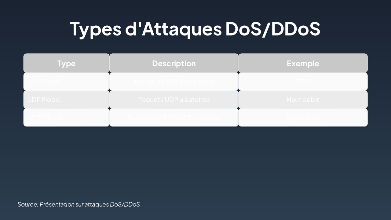 Slide 5 - Types d'Attaques DoS/DDoS