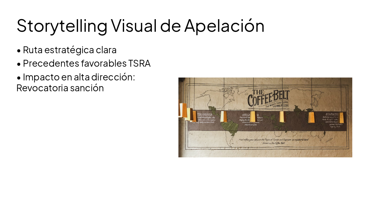 Slide 13 - Storytelling Visual de Apelación