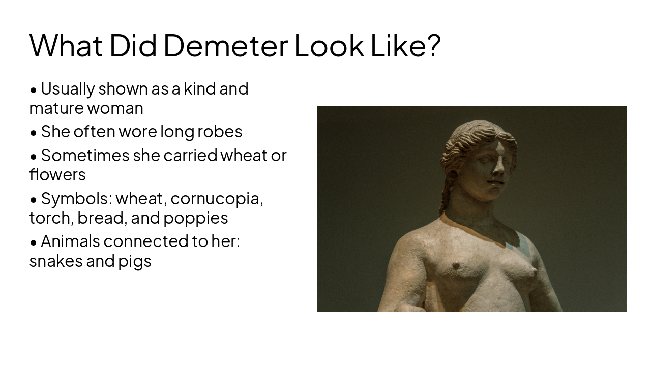 Slide 4 - What Did Demeter Look Like?