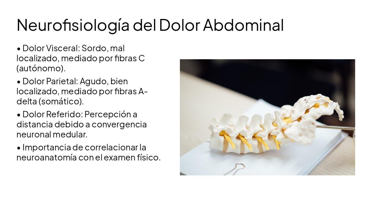 Slide 5 - Neurofisiología del Dolor Abdominal