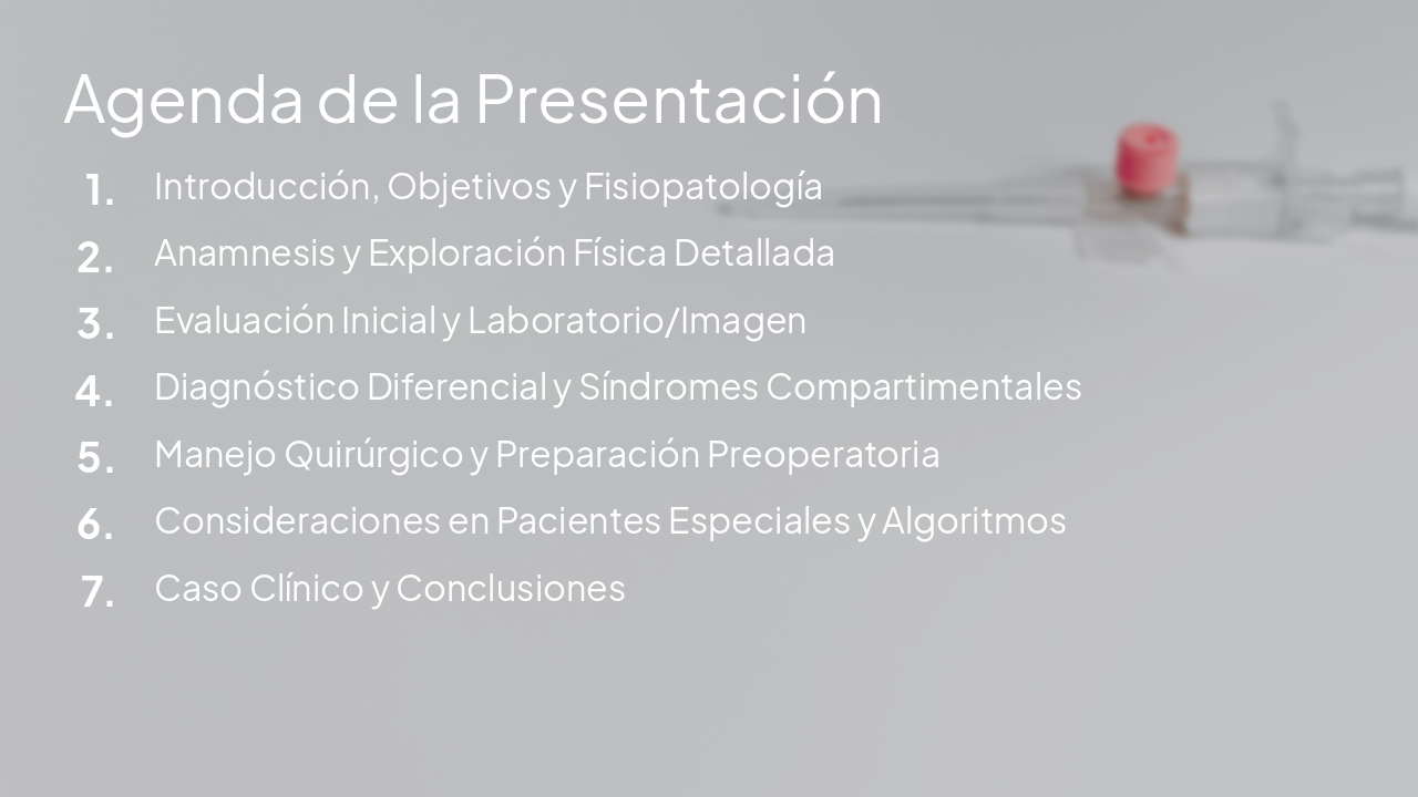 Slide 2 - Agenda de la Presentación