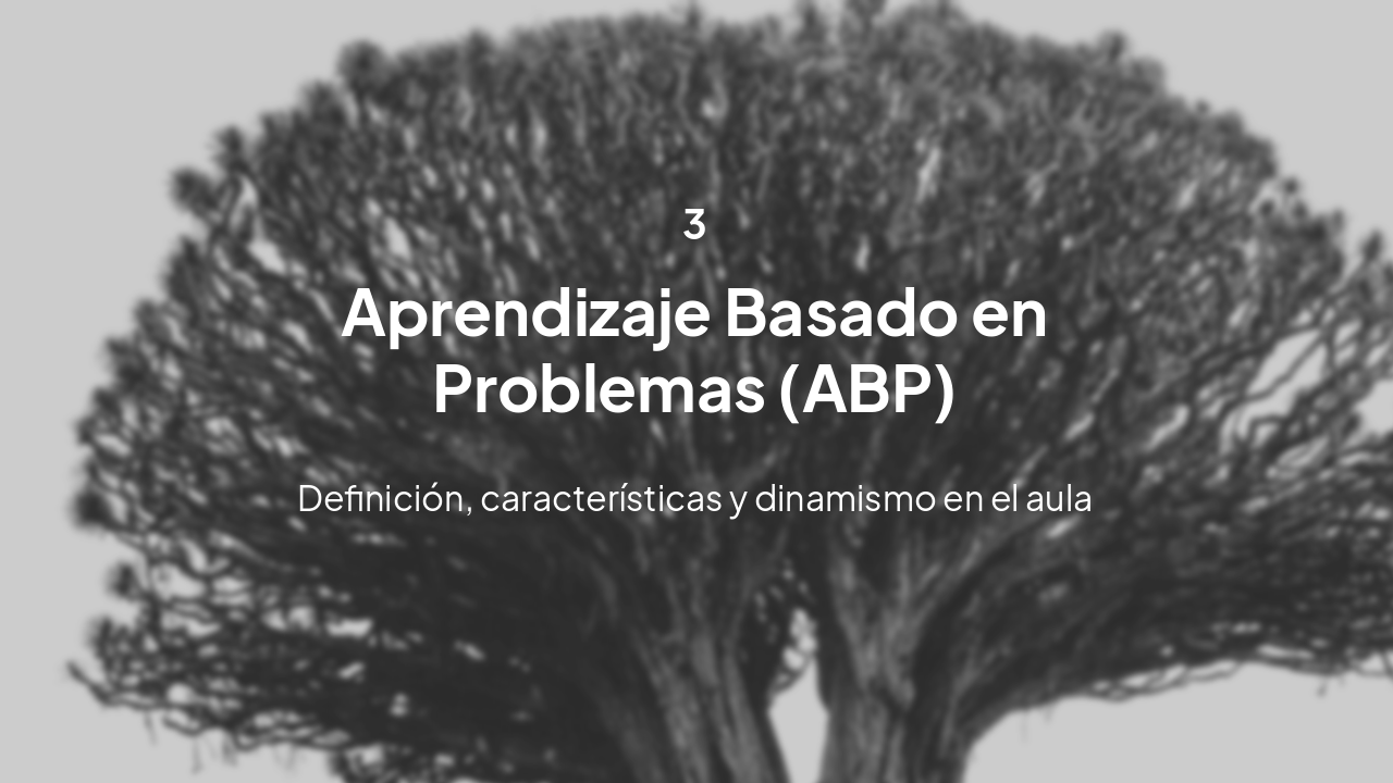 Slide 4 - ABP Sección