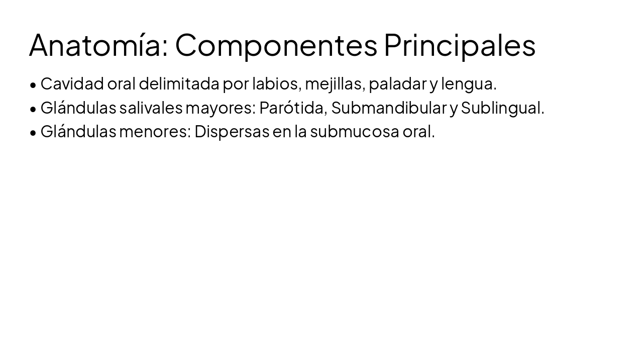 Slide 4 - Anatomía: Componentes Principales