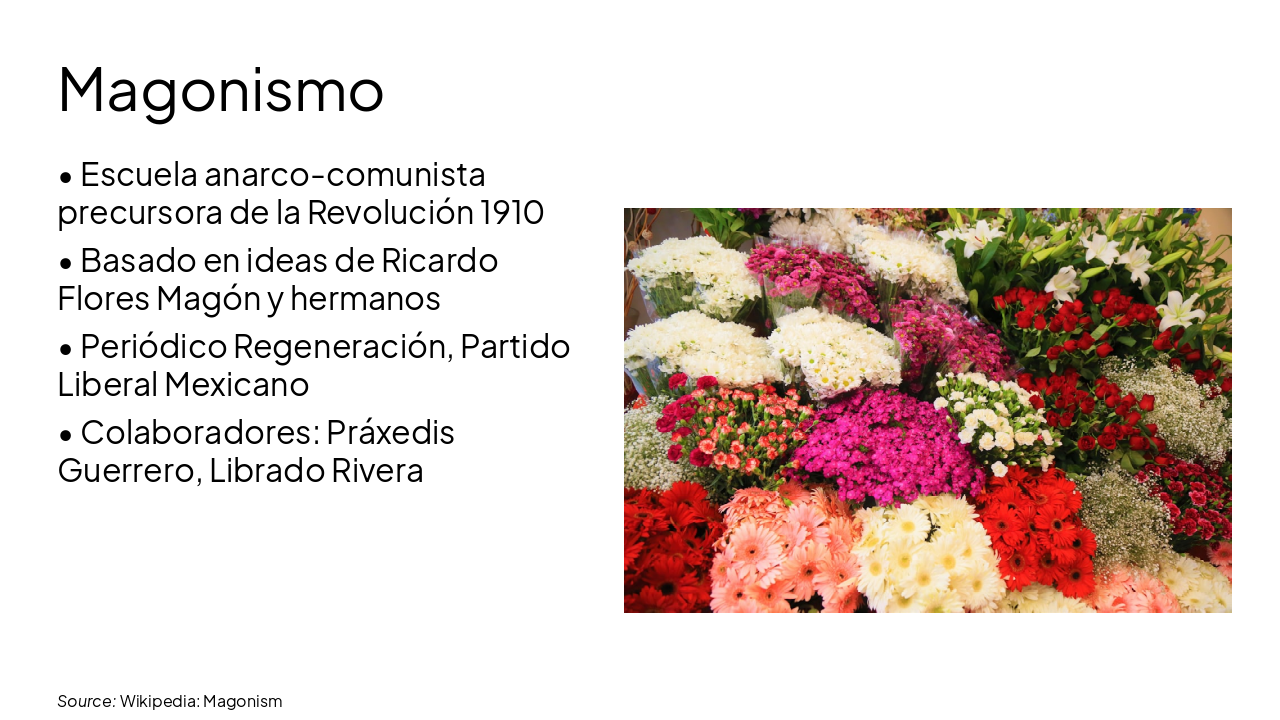 Slide 8 - Magonismo