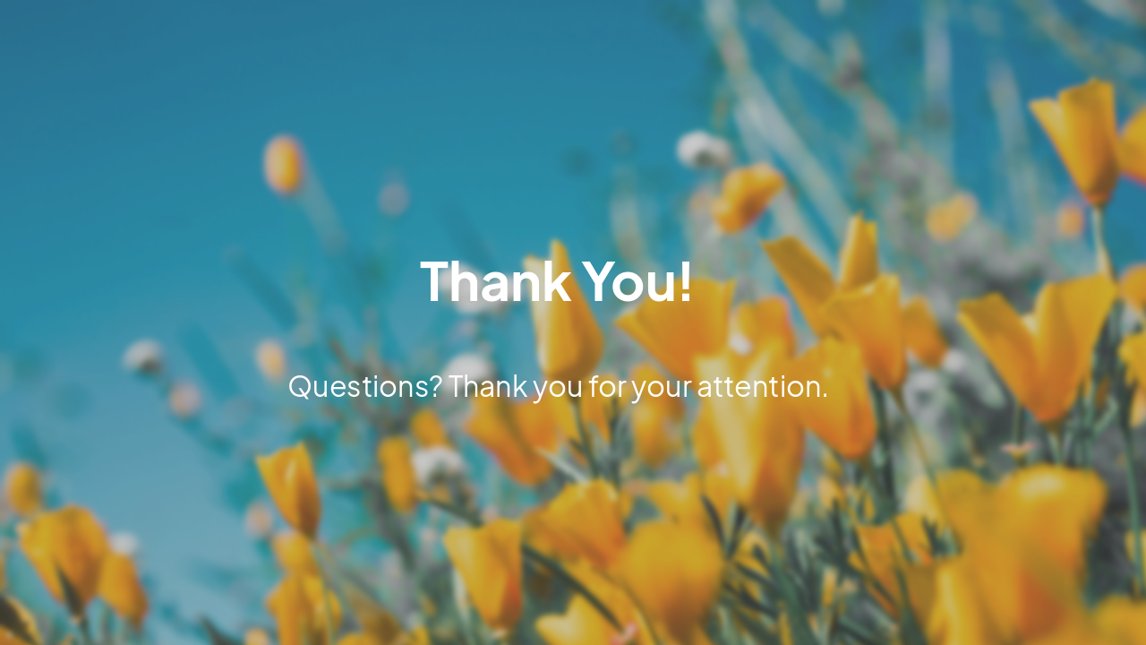 Slide 19 - Thank You