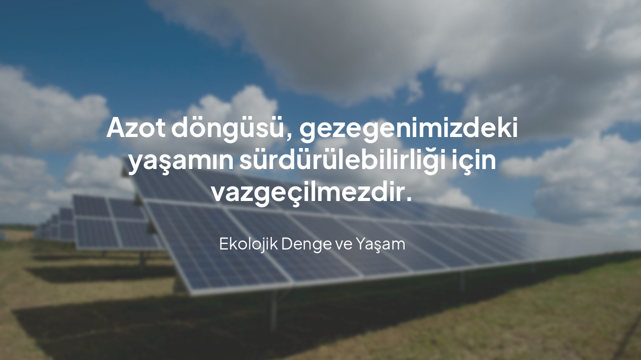 Slide 11 - Sonuç: Azot Döngüsünün Önemi