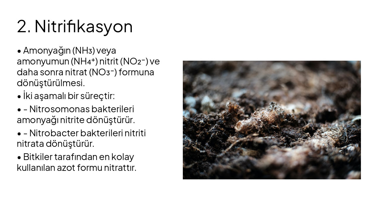 Slide 7 - 2. Nitrifikasyon