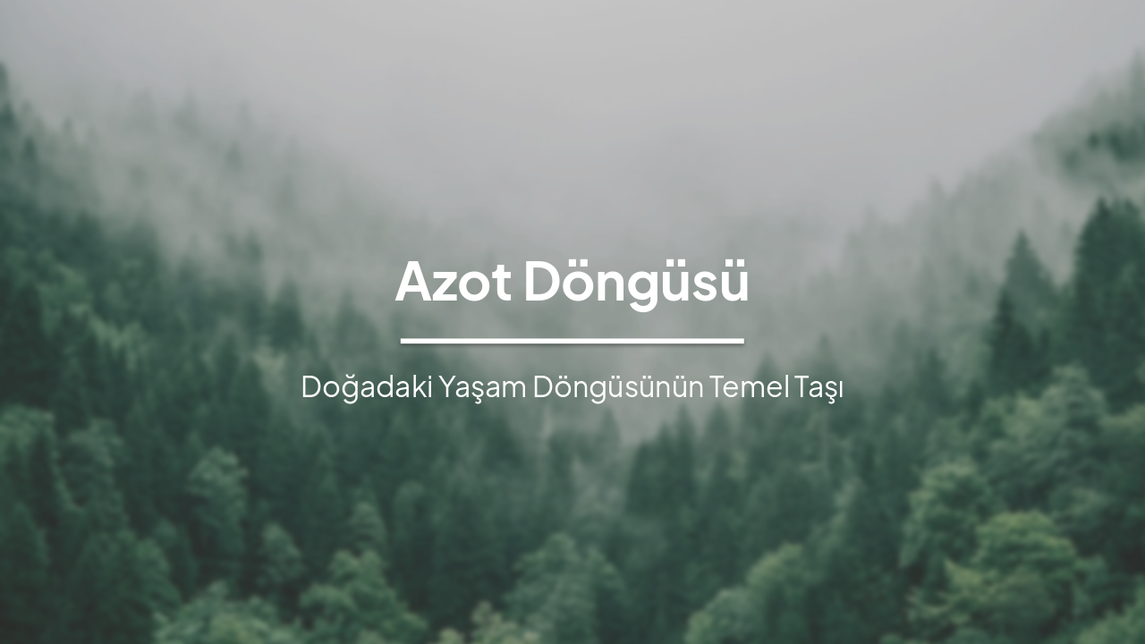 Azot Döngüsü: Doğadaki Yaşam Döngüsünün Temel Taşı