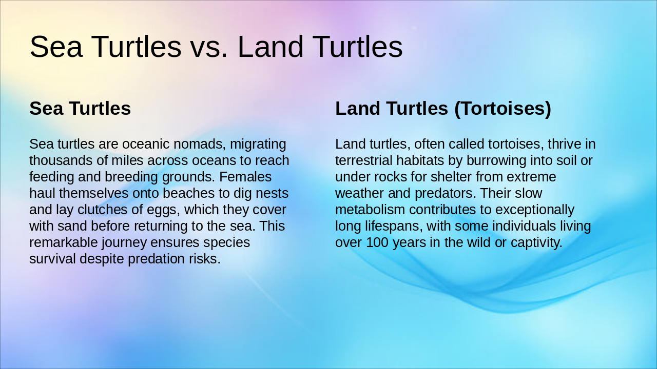 Slide 6 - Sea Turtles vs. Land Turtles