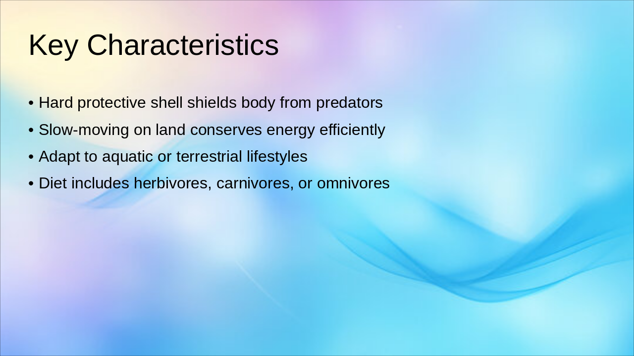Slide 4 - Key Characteristics