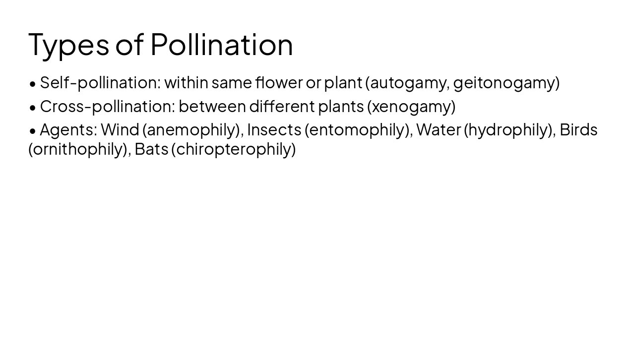 Slide 7 - Types of Pollination