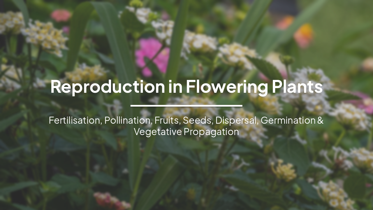 Slide 1 - Reproduction in Flowering Plants