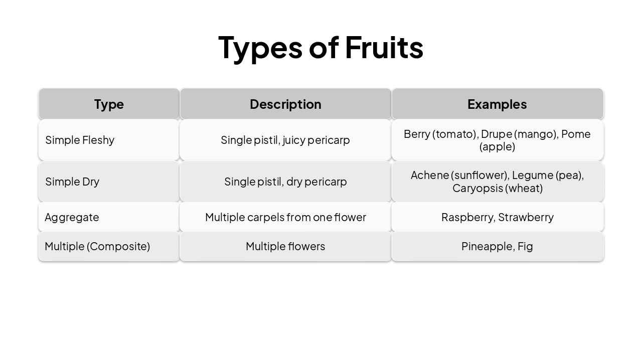 Slide 10 - Types of Fruits