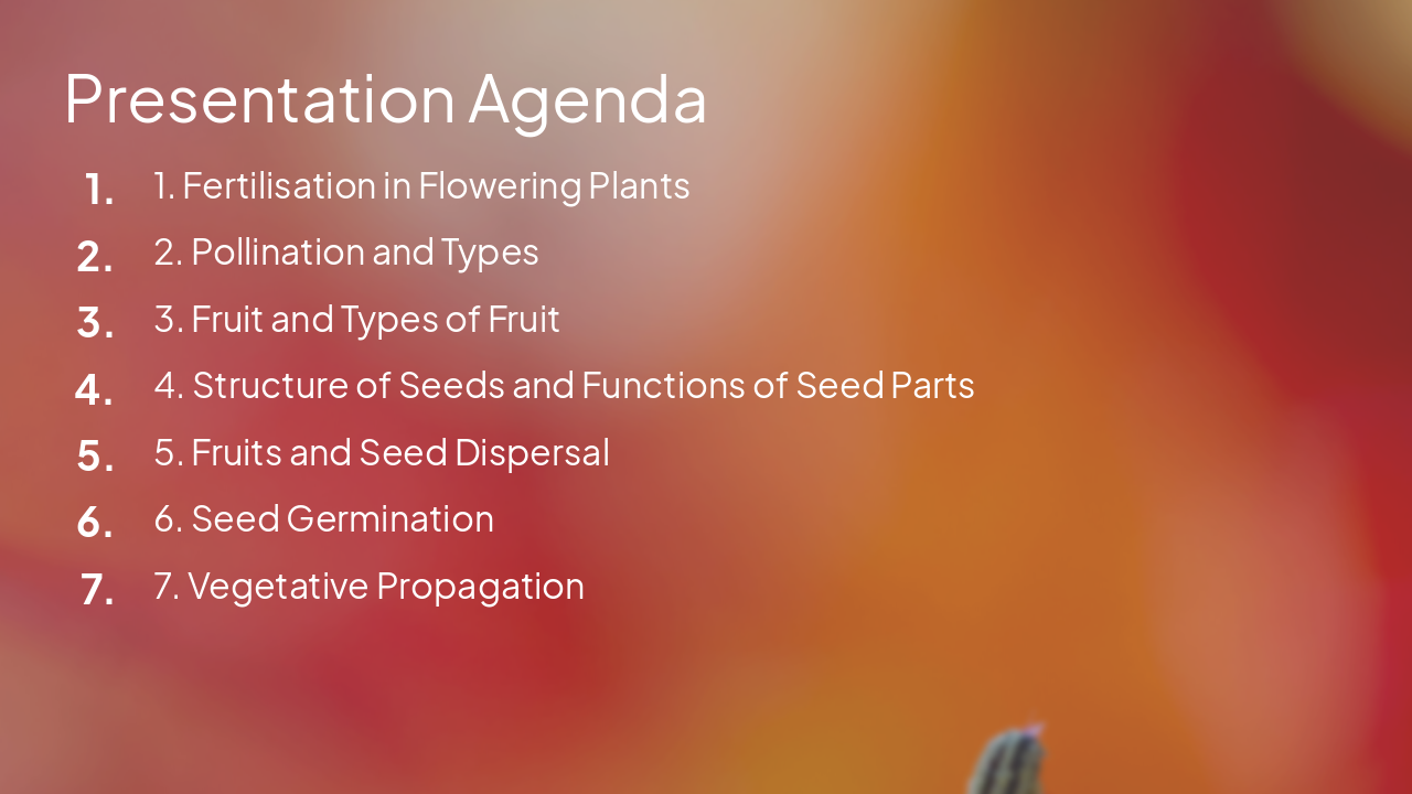 Slide 2 - Presentation Agenda