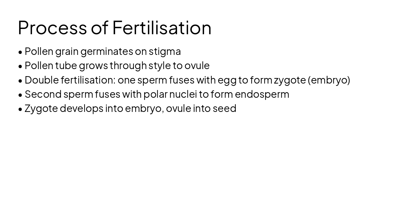 Slide 4 - Process of Fertilisation