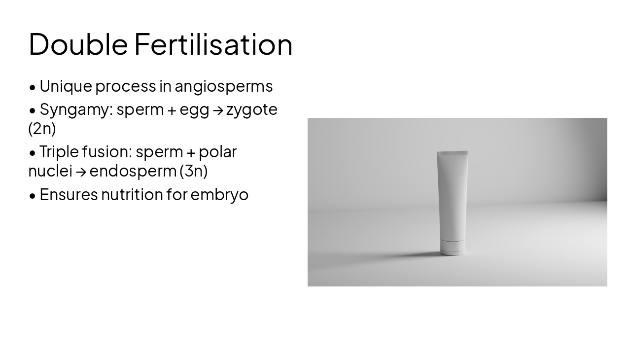 Slide 5 - Double Fertilisation